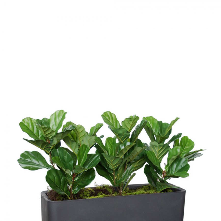 Planta semi-artificiala Ila, Ficus Lyrata Fence Green - 120 cm